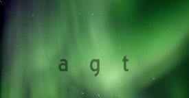 auroragt logo